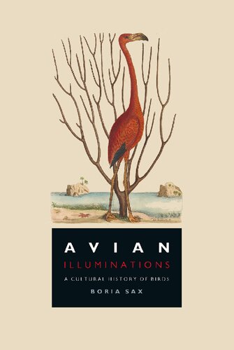 Avian Illuminations A Cultural History Of Birds Boria Sax