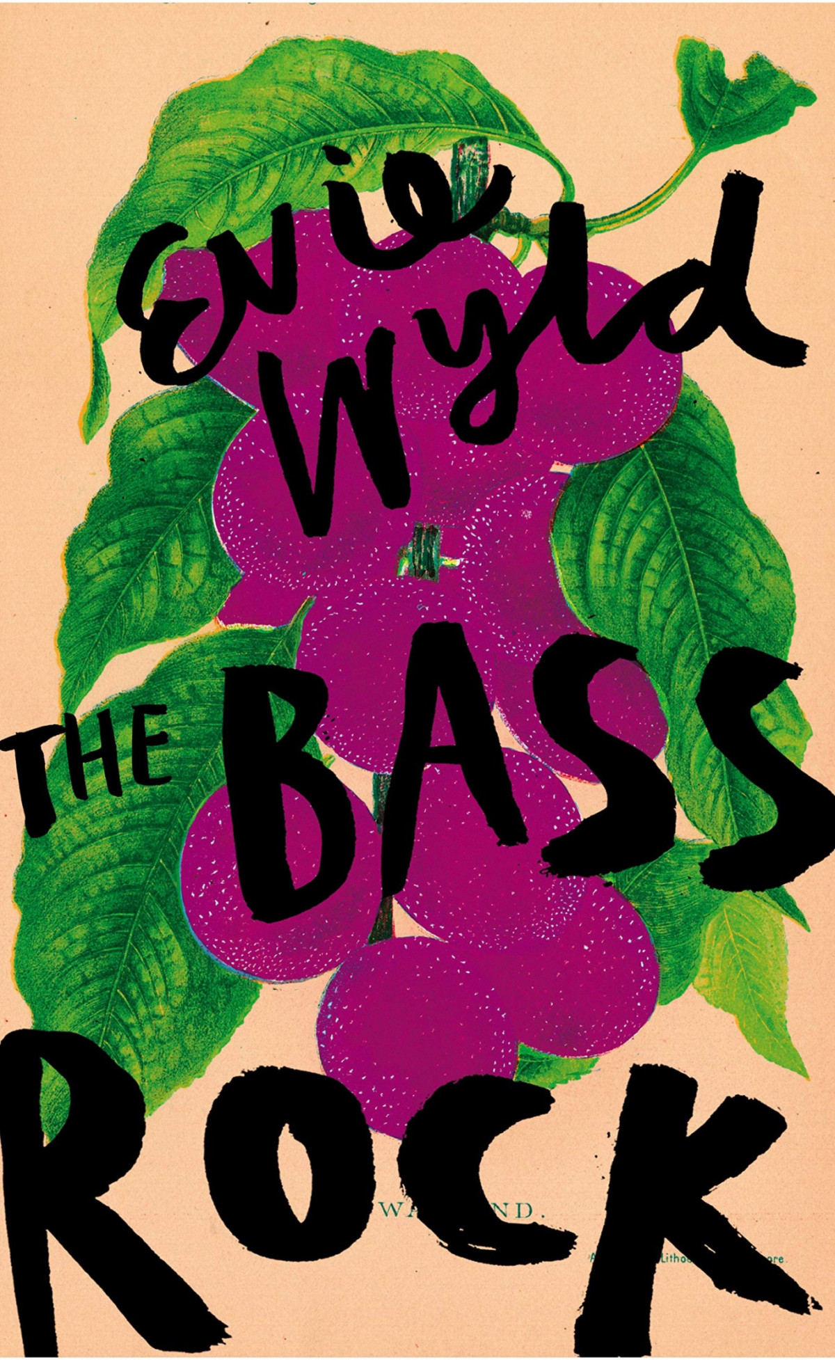 The Bass Rock A Novel Evie Wyld