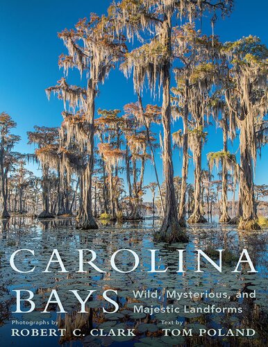 Carolina Bays Wild Mysterious And Majestic Landforms Tom Poland