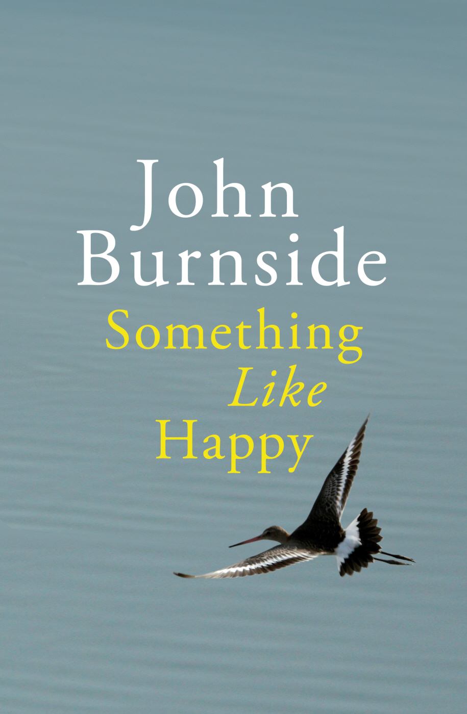 Something Like Happy John Burnside