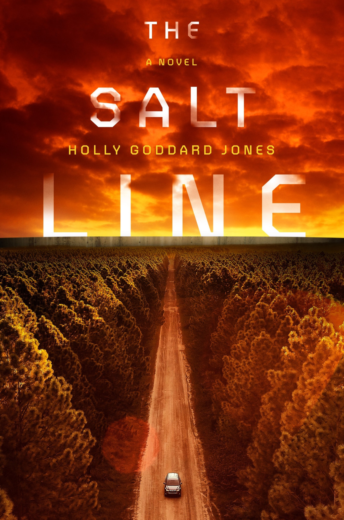The Salt Line Holly Goddard Jones