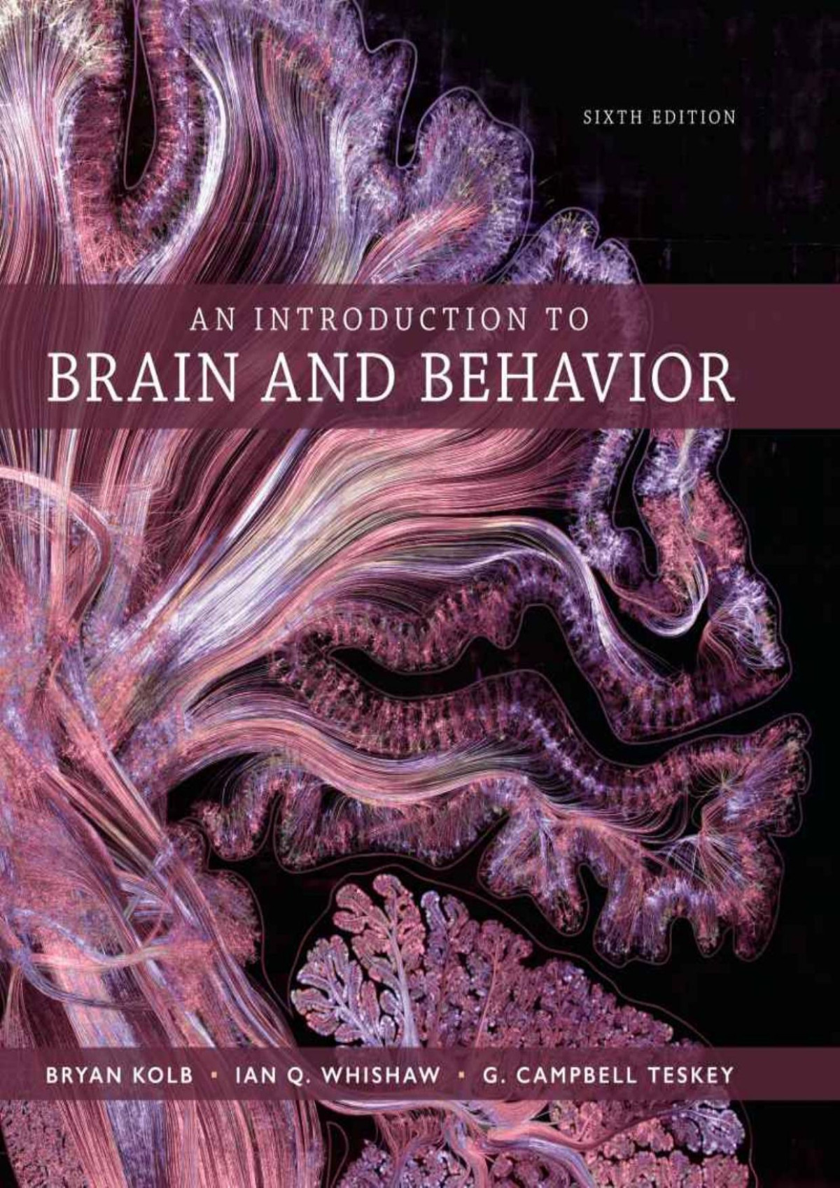 An Introduction To Brain And Behavior 6th Ed 6th Edition Bryan Kolb