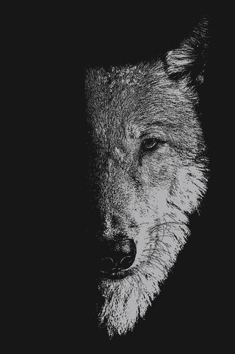 In The Company Of Wolves Werewolves Wolves And Wild Children Sam George
