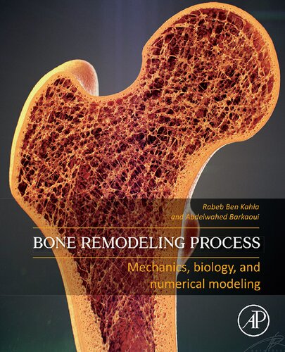 Bone Remodeling Process Mechanics Biology And Numerical Modeling 1st Edition Kahla