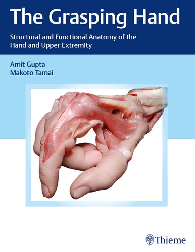 The Grasping Hand Structural And Functional Anatomy Of The Hand And Upper Extremity 1st Edition Amit Gupta Editor