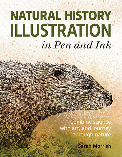 Natural History Illustration In Pen And Ink Morrish Sarah