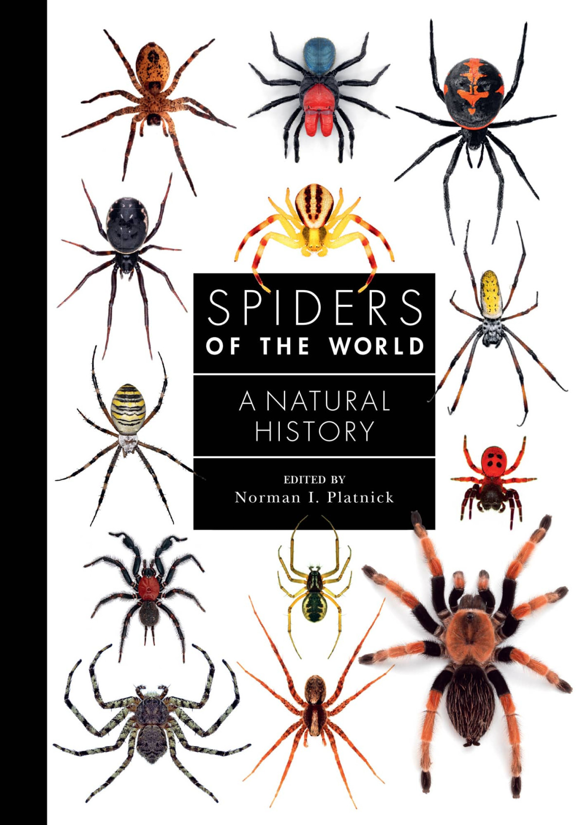 Spiders Of The World Norman Platnick