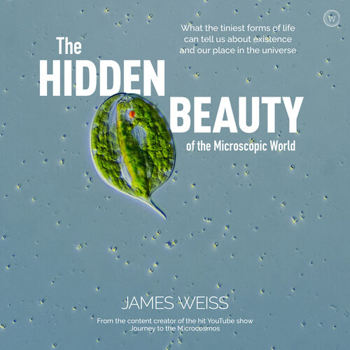The Hidden Beauty Of The Microscopic World What The Tiniest Forms Of Life Can Tells Us About Existence And Our Place In The Universe Weiss