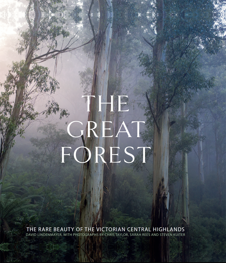 The Great Forest The Rare Beauty Of The Victorian Central Highlands David Lindenmayer