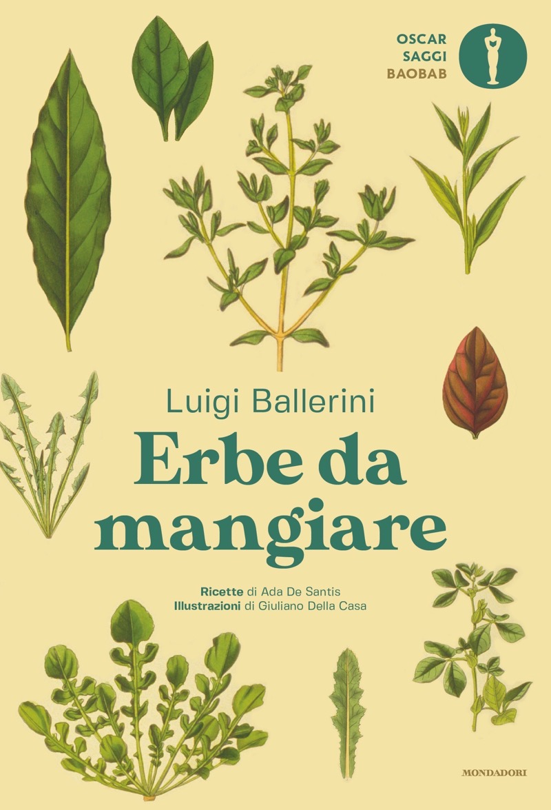 Erbe Da Mangiare Ballerini Luigi
