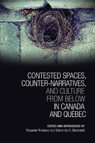 Contested Spaces Counternarratives And Culture From Below In Canada And Qubec 1st Edition Roxanne Rimstead Editor
