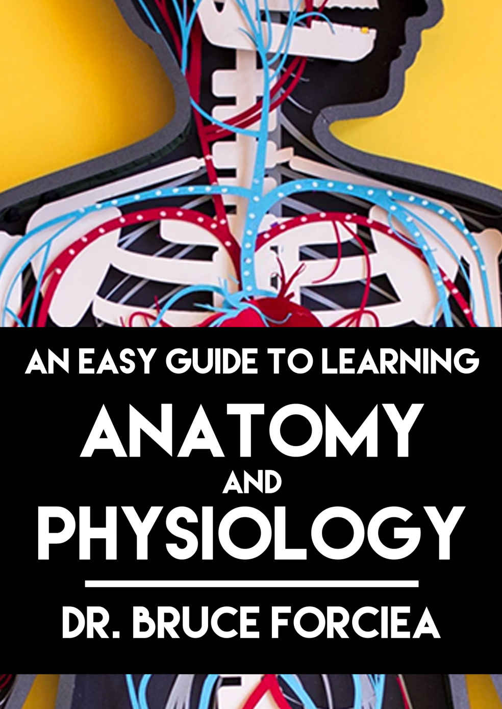 An Easy Guide To Learning Anatomy And Physiology Forciea Bruce