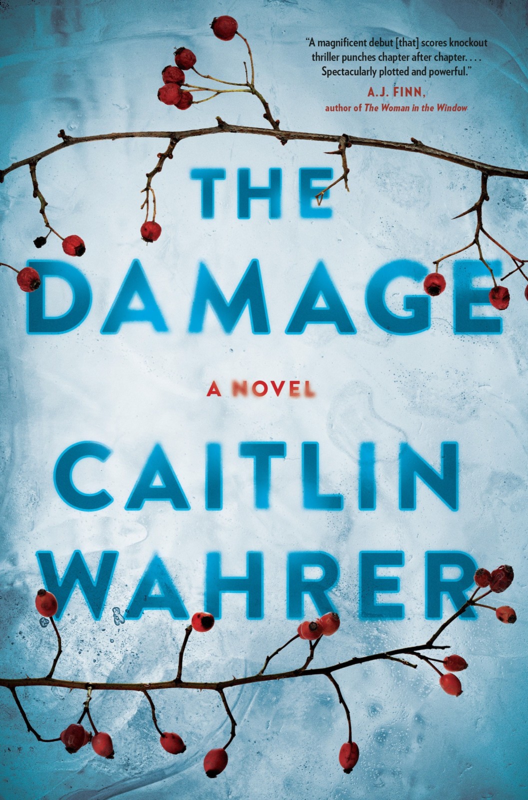 The Damage Caitlin Wahrer