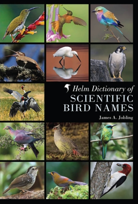 Helm Dictionary Of Scientific Bird Names From Aalge To Zush 1st Edition James A Jobling