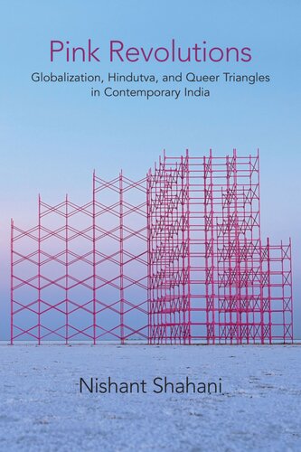 Pink Revolutions Globalization Hindutva And Queer Triangles In Contemporary India Nishant Shahani