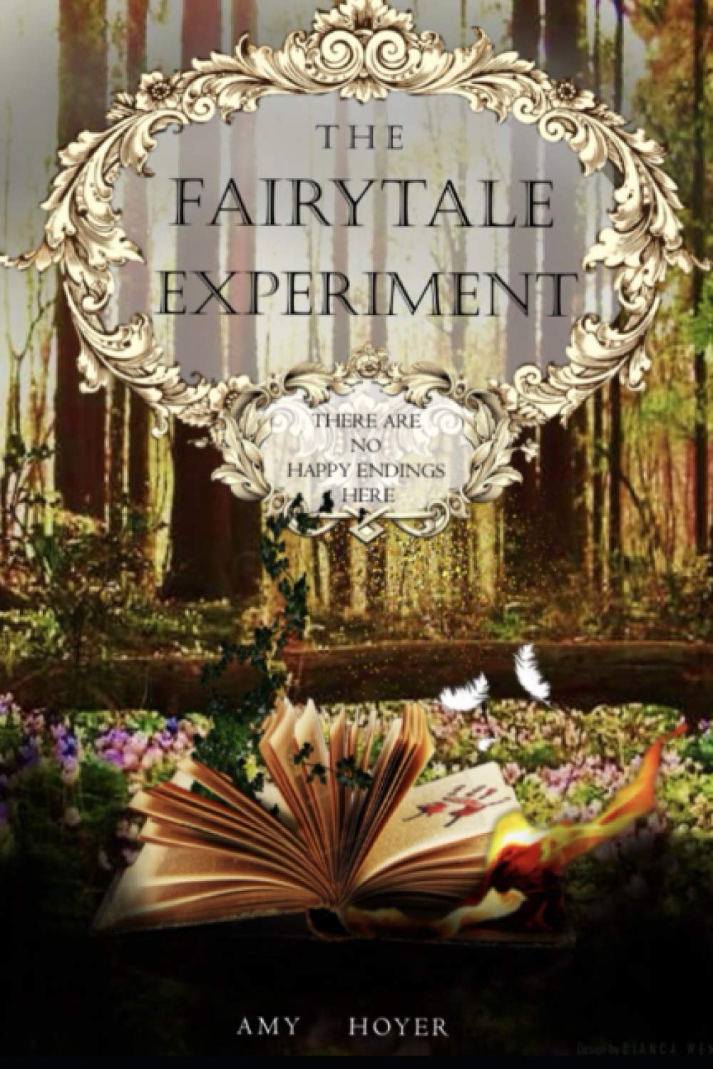 The Fairytale Experiment Amy Hoyer