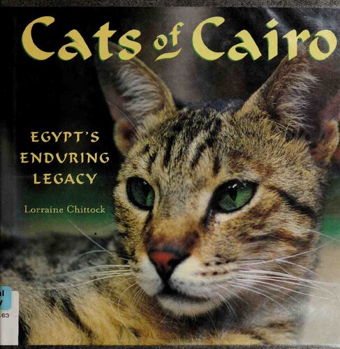 Cats Of Cairo Egypts Enduring Legacy Lorraine Chittock Annemarie Schimmel