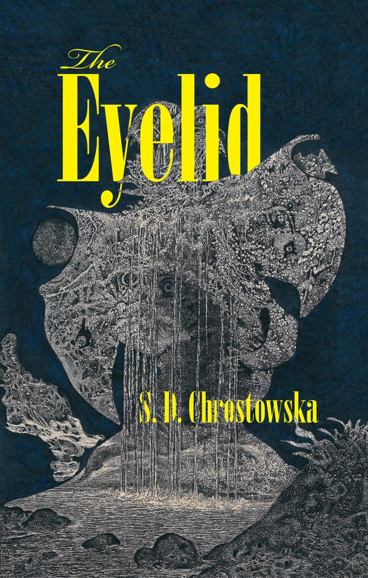 The Eyelid S D Chrostowska