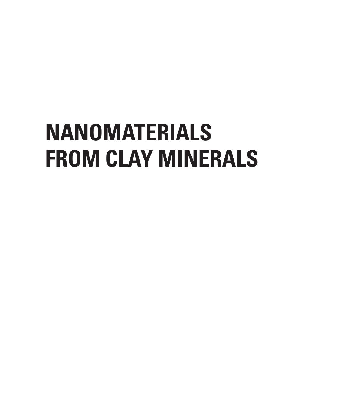 Nanomaterials From Clay Minerals Aiqin Wang And Wenbo Wang