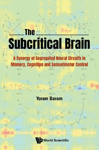 The Subcritical Brain A Synergy Of Segregated Neural Circuits In Memory Cognition And Sensorimotor Control 1st Edition Yoram Baram