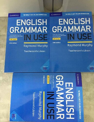 English Grammar In Use 5th Edition Danialle Franklin