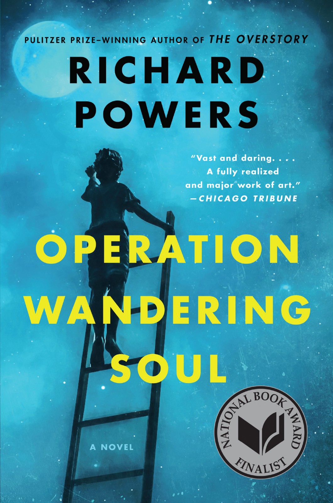 Operation Wandering Soul Richard Powers