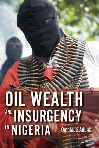 Oil Wealth And Insurgency In Nigeria Omolade Adunbi