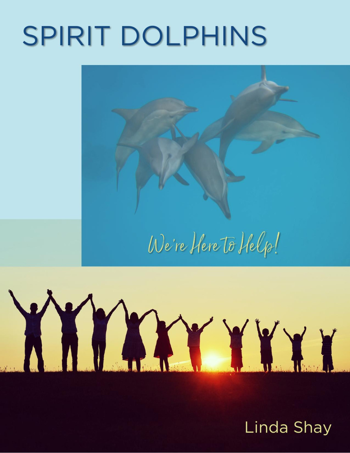 Intro To Spirit Dolphins Theyre Here To Help Linda Shay