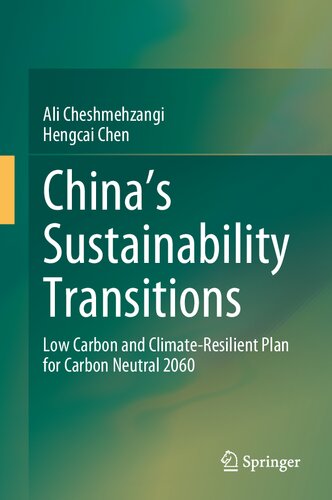 Chinas Sustainability Transitions Low Carbon And Climateresilient Plan For Carbon Neutral 2060 1st Edition Cheshmehzangi
