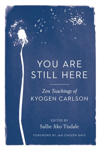 You Are Still Here Zen Teachings Of Kyogen Carlson Kyogen Carlson