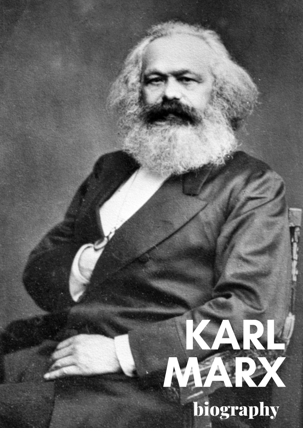 Karl Marx A Biography Mclellan David Hummat Elchin