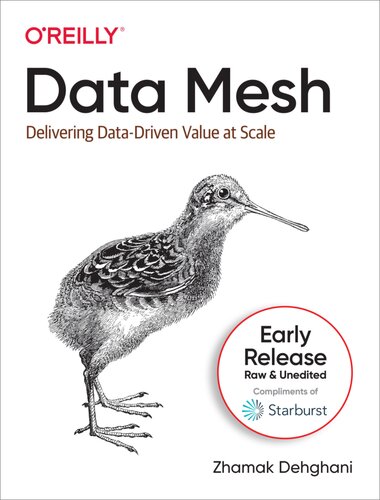 Data Mesh Delivering Datadriven Value At Scale 3rd Edition Zhamak Dehghani