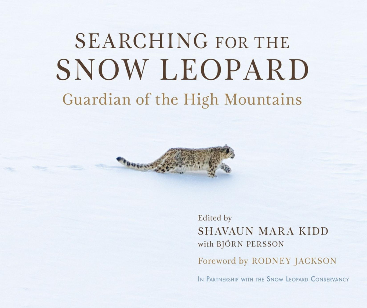 Searching For The Snow Leopard Guardian Of The High Mountains Shavaun Mara Kidd Editor