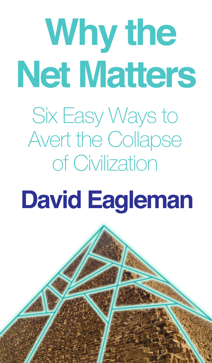 Why The Net Matters Or Six Easy Ways To Avert The Collapse Of Civilization David Eagleman