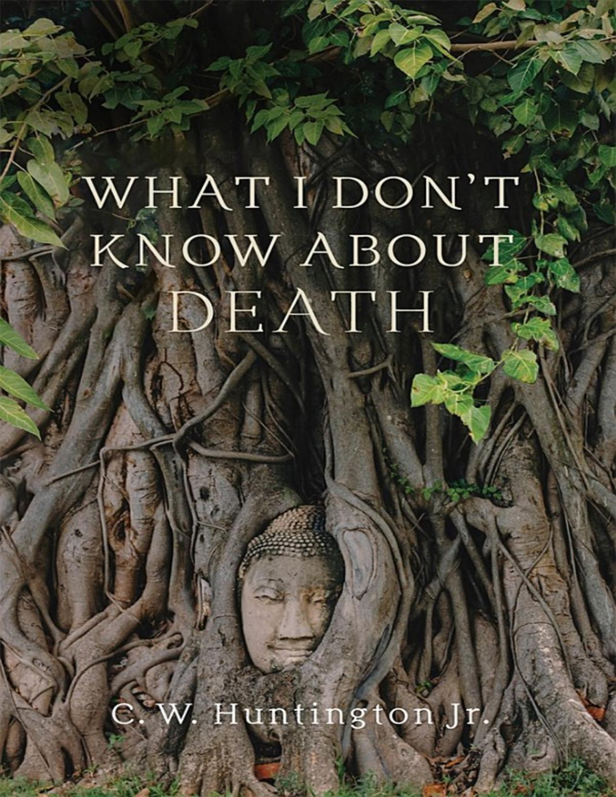 What I Dont Know About Death C W Huntington Jr