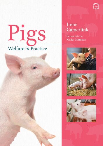 Pigs Welfare In Practice None Irene Camerlink