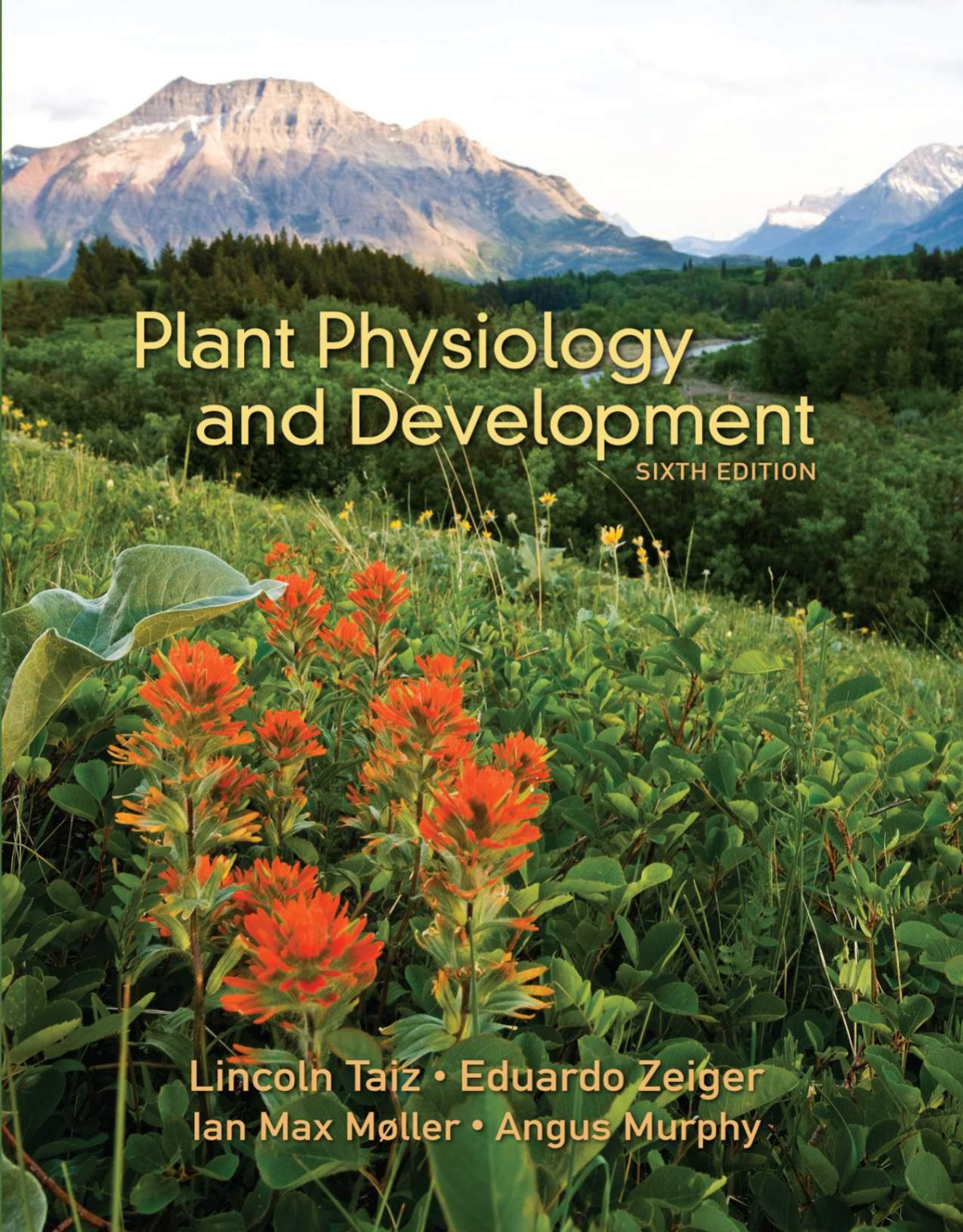 Plant Physiology And Development 6th Edition Lincoln Taiz Eduardo Zeiger