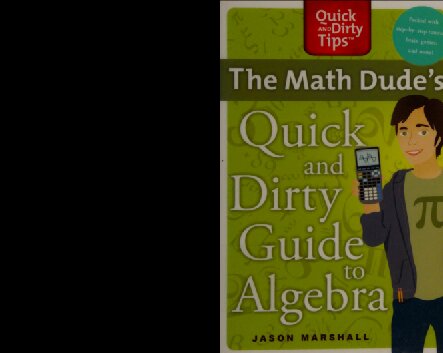 The Math Dudes Quick And Dirty Guide To Algebra Original Jason Marshall