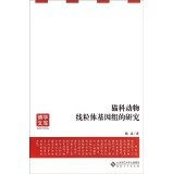 Research Feline Mitochondrial Genomechinese Edition 猫科动物线粒体基因组的研究 Wei Lei