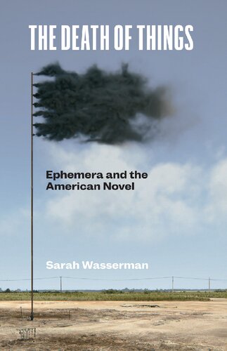 The Death Of Things Ephemera And The American Novel Sarah Wasserman