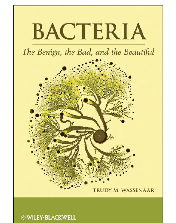 Bacteria Trudy M Wassenaar
