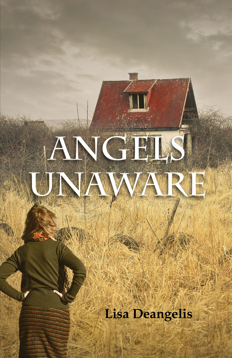 Angels Unaware Lisa Deangelis