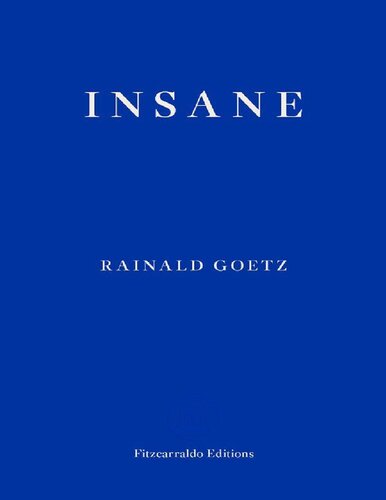 Insane Rainald Goetz