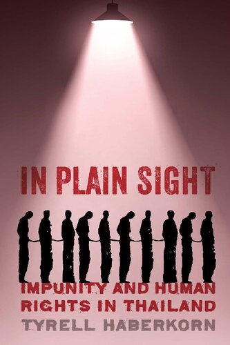 In Plain Sight Impunity And Human Rights In Thailand Tyrell Haberkorn