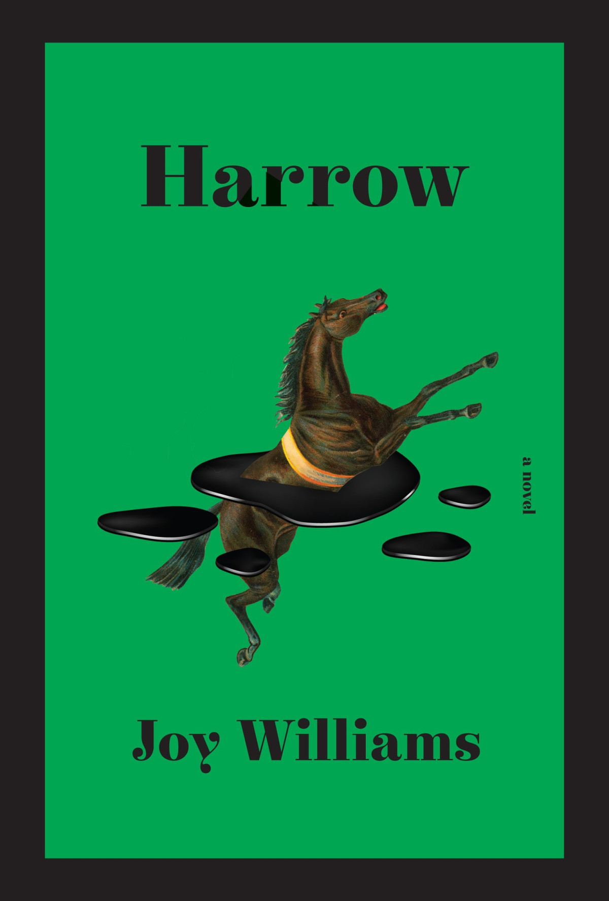 Harrow Joy Williams