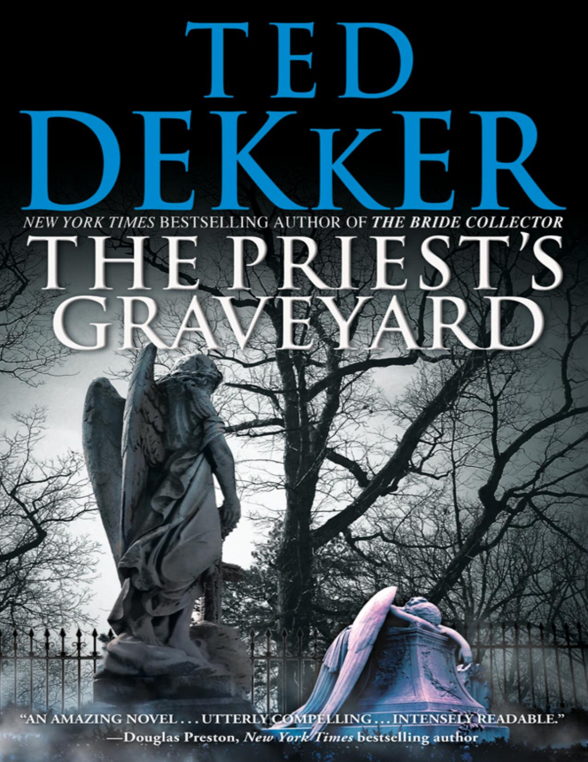The Priests Graveyard Ted Dekker