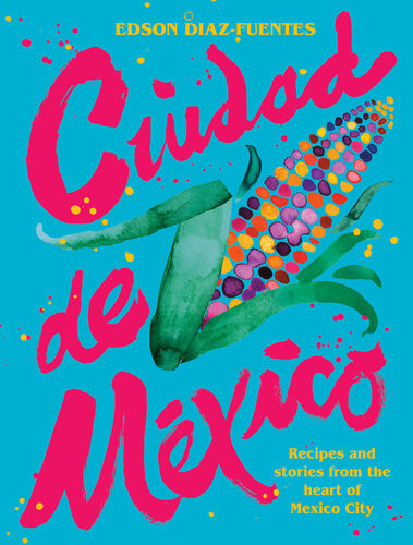 Ciudad De Mexico Recipes And Stories From The Heart Of Mexico City Edson Diaz Fuentes