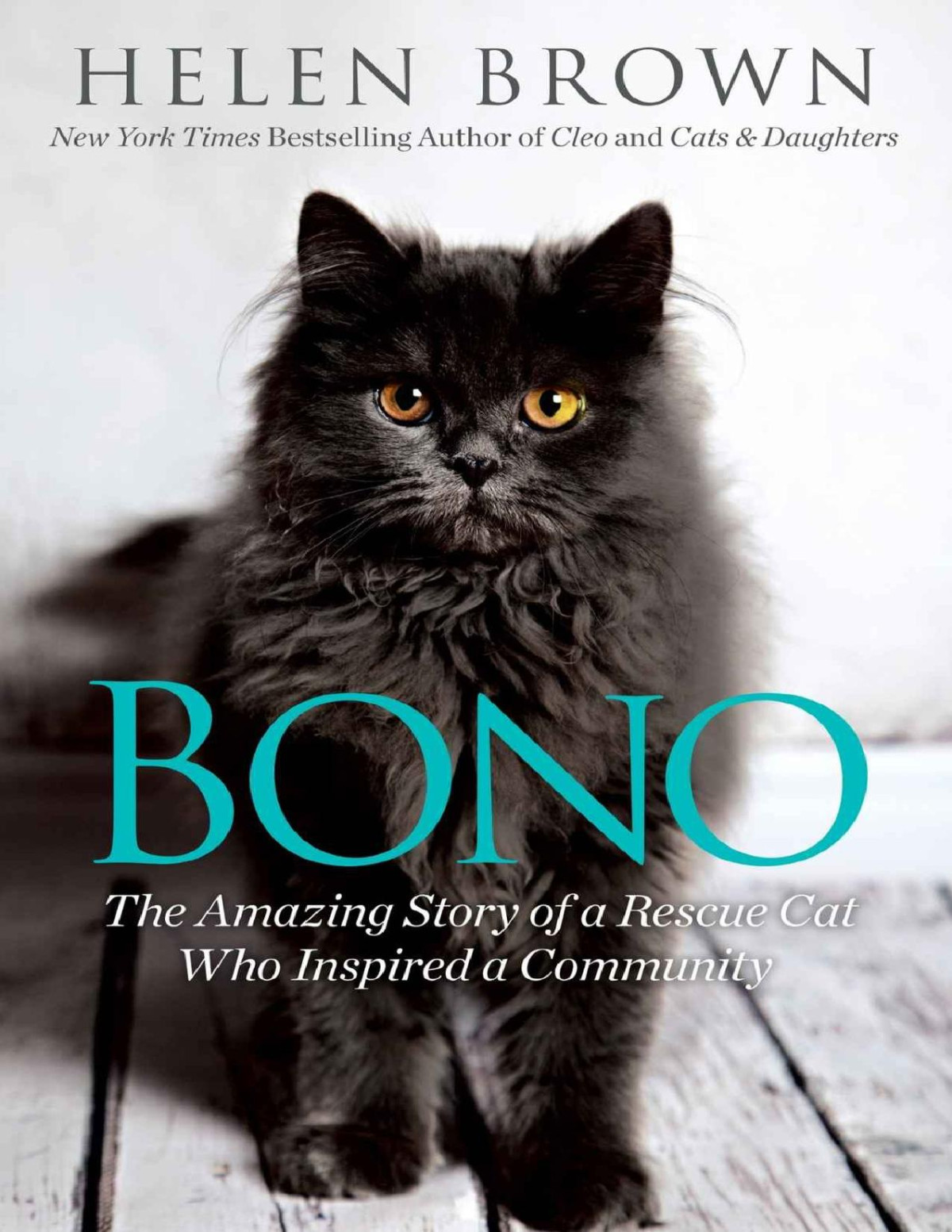 Bono The Amazing Story Of A Rescue Cat Who Inspired A Community Helen Brown