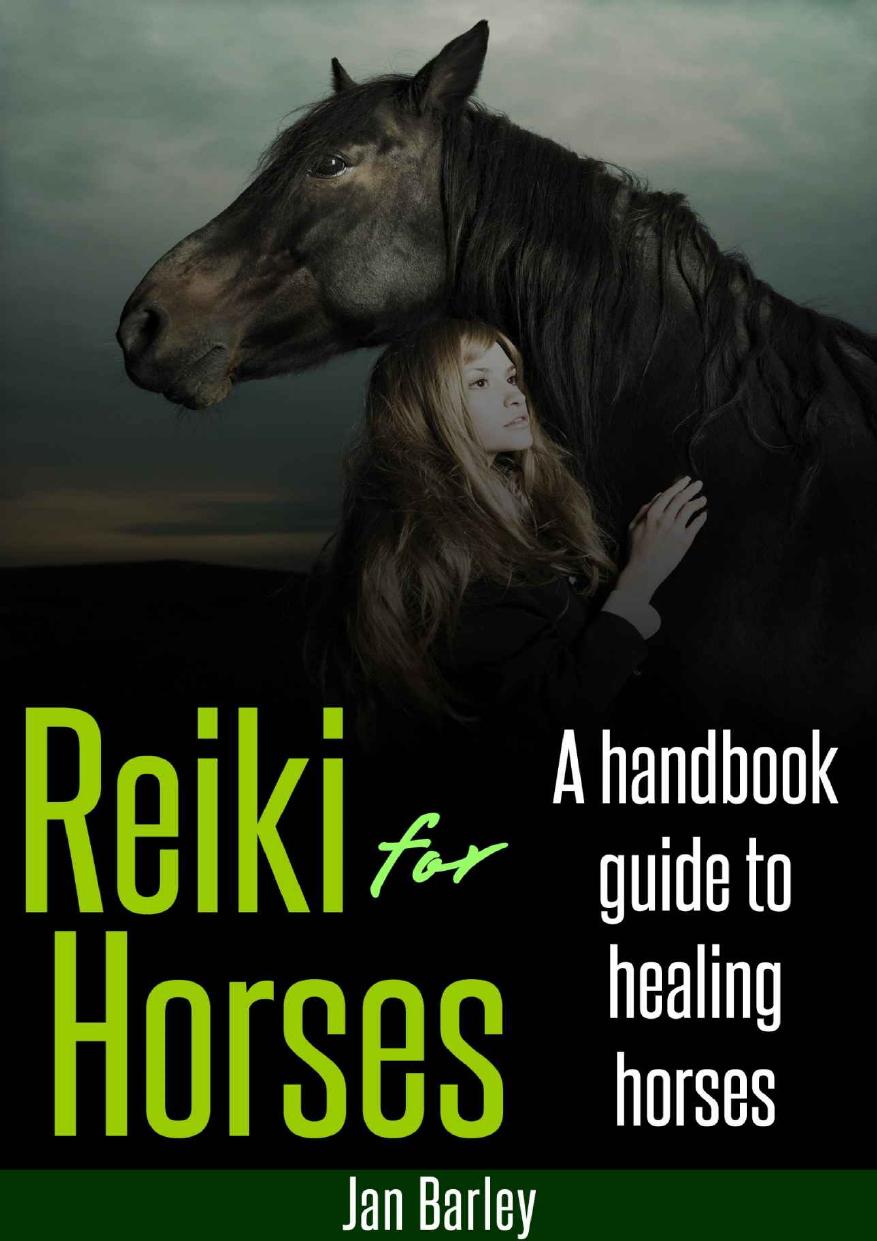 Reiki For Horses Jan Barley