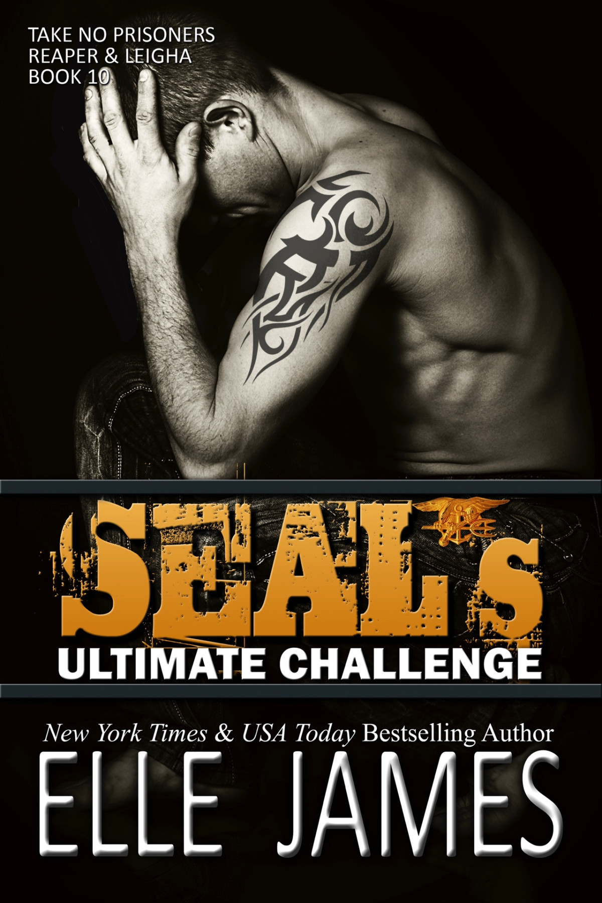 Seals Ultimate Challenge Take No Prisoners Book 10 James Elle